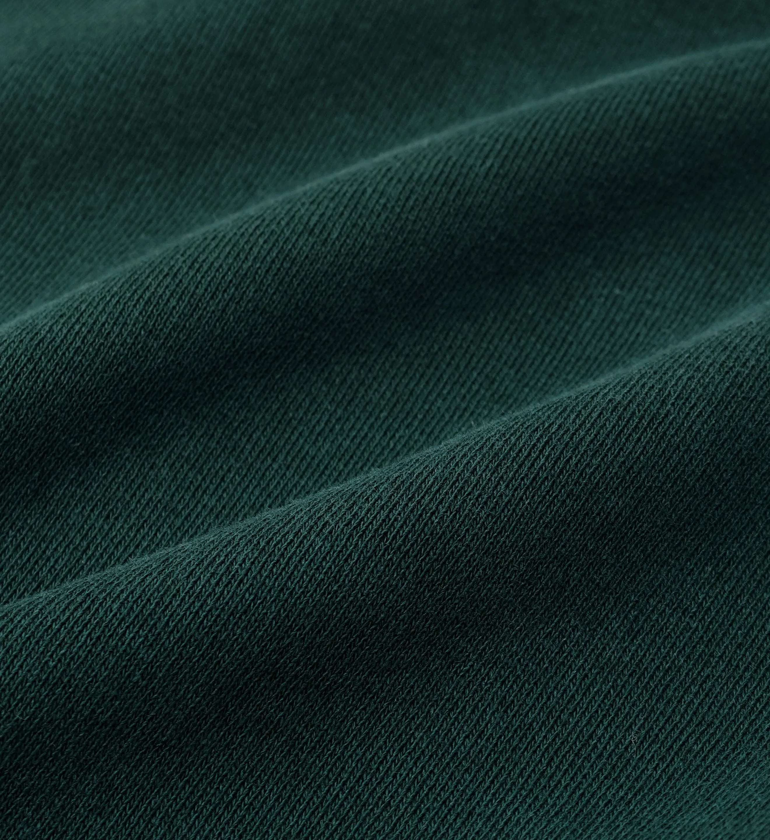 Health Ivy Cropped Hoodie - Forest