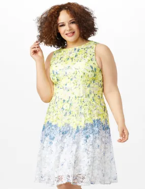Sleeveless Round Neck Ombre Floral Print Lace Dress